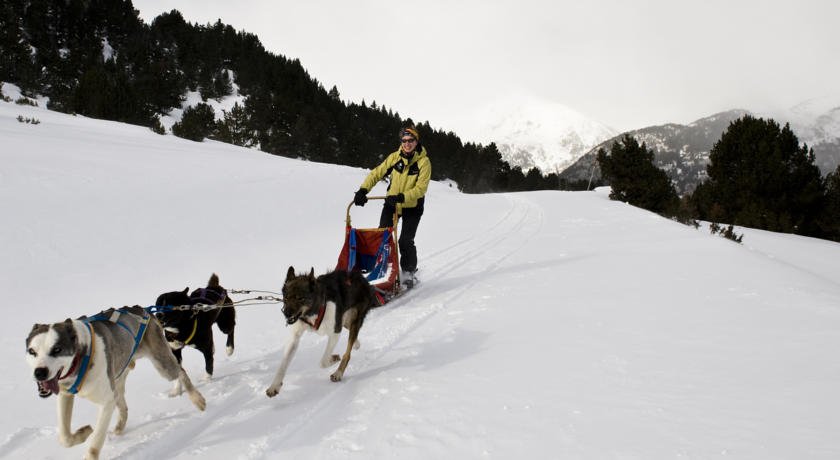 Himalaia Pas - Photo 33