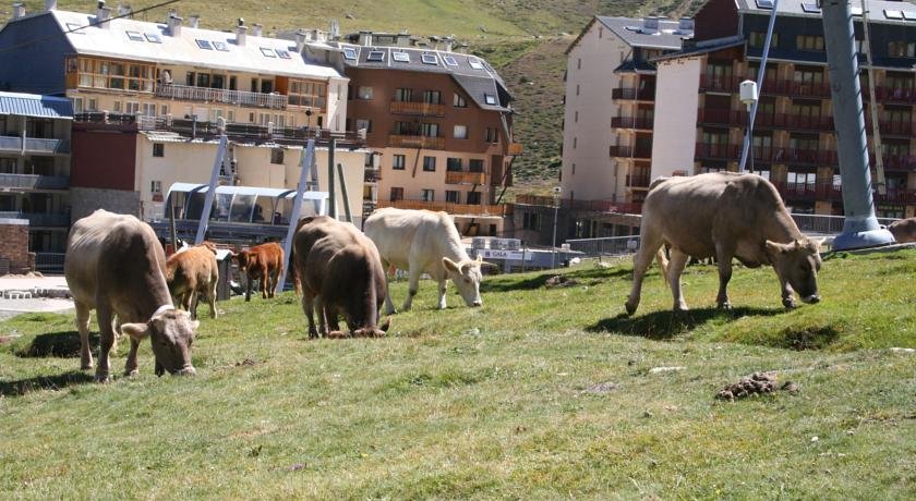 Apartamentos Canigou - Photo 39
