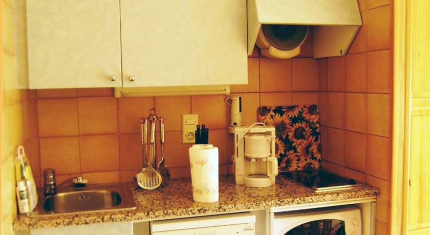 Apartamentos Pie de Pistas 3000 - Photo 16